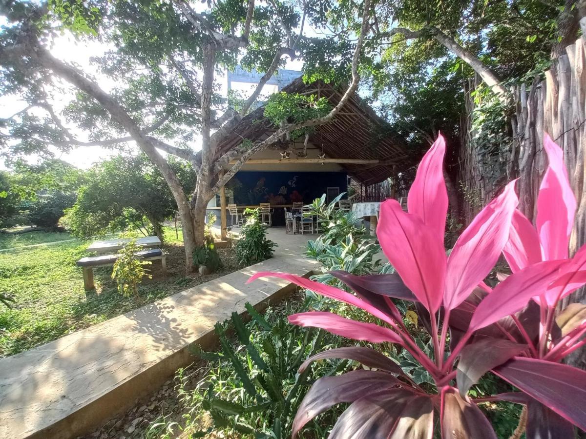 Watamu Beach Cottages B&B Extérieur photo